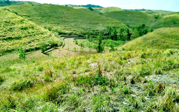 Teletubbies Hills Bali Beach Travel Tour Service Package