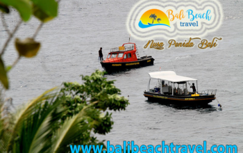 Crystal Bay Beach Nusa Penida The Destination Tour Service in Bali Beach Travel