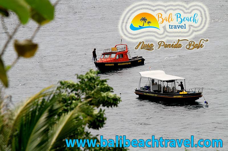 Crystal Bay Beach Nusa Penida The Destination Tour Service in Bali Beach Travel